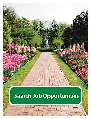Search current job opportunities