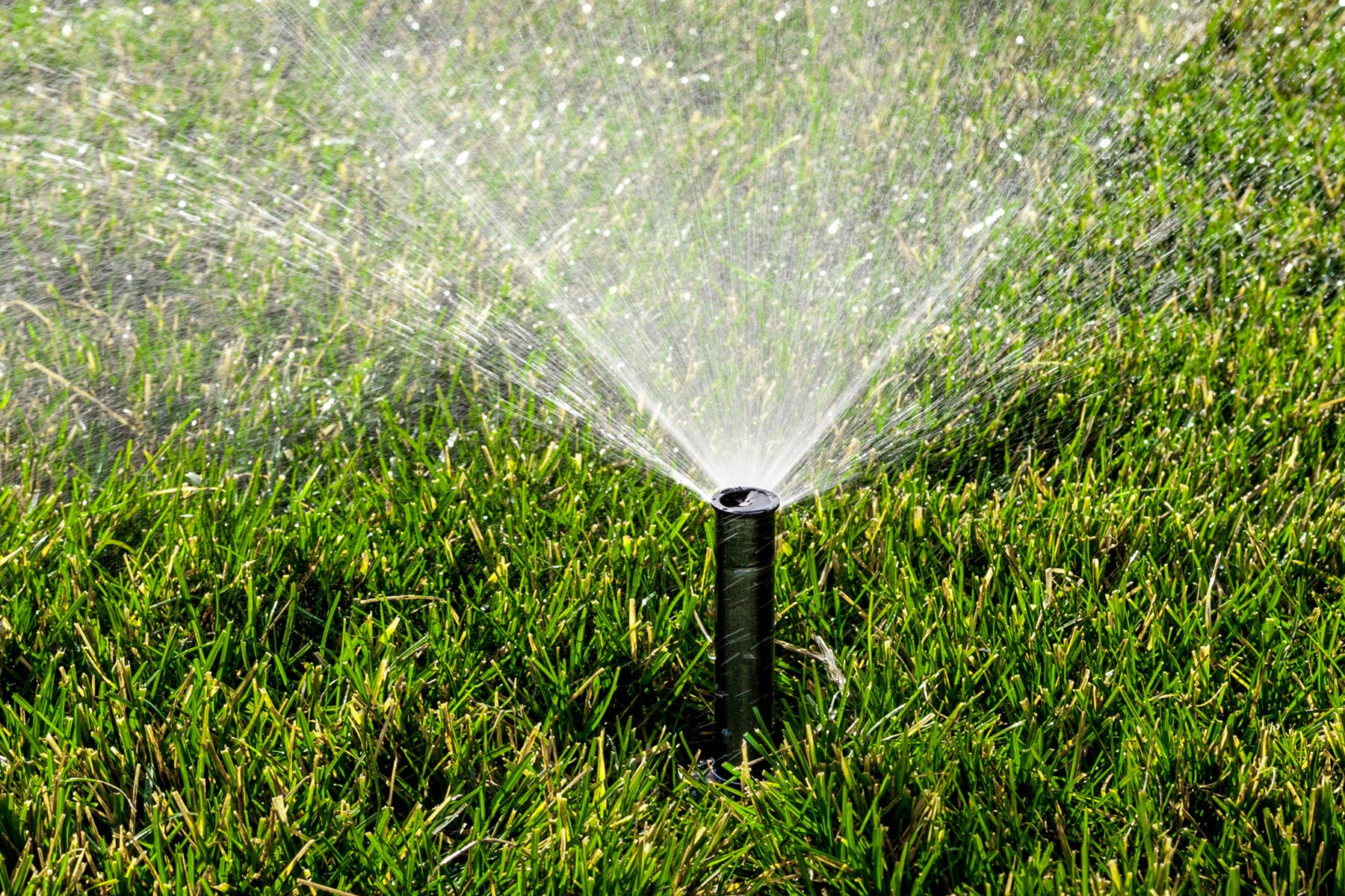 pressure regulated pop-up sprinkler