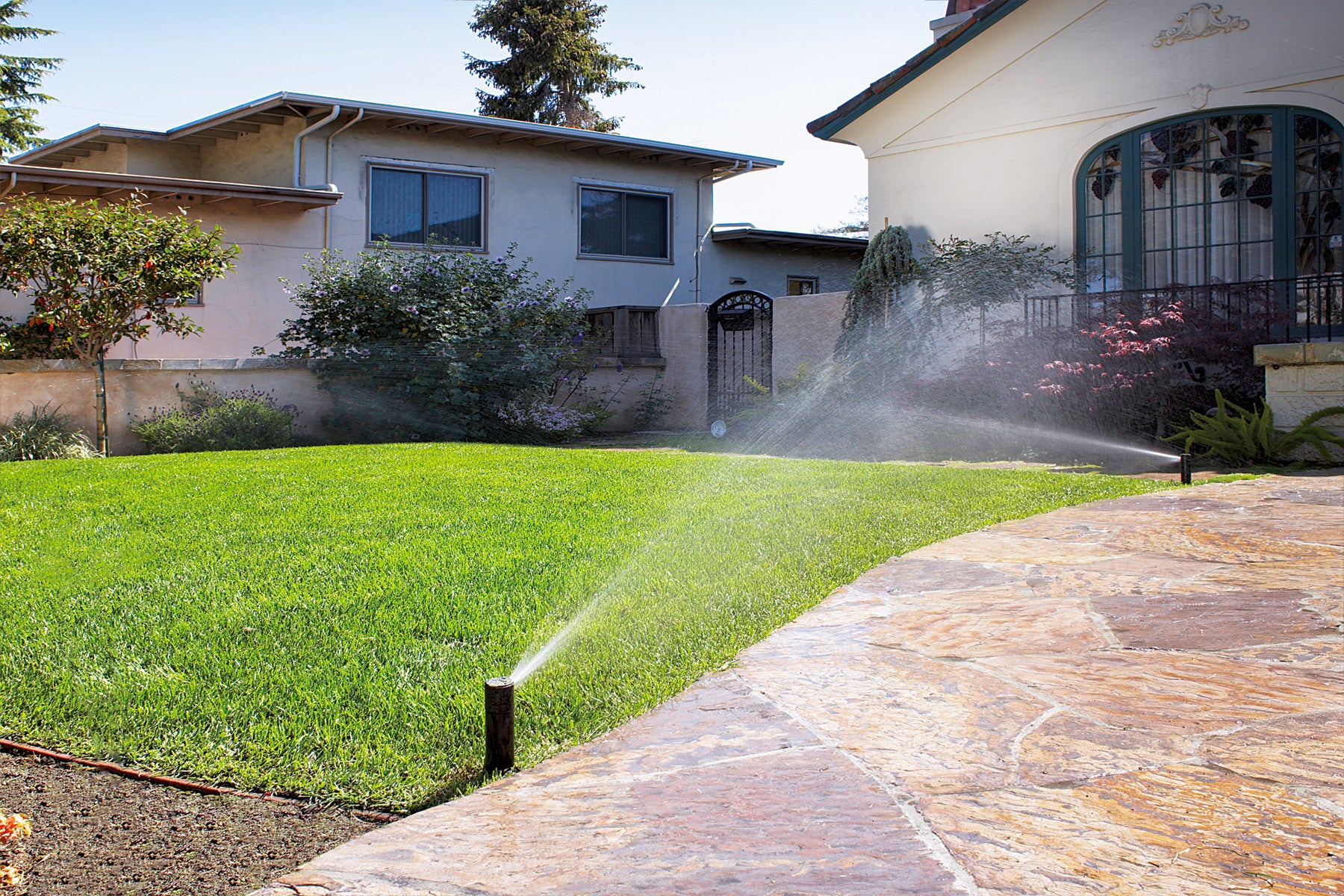 lawn with in-ground sprinkler