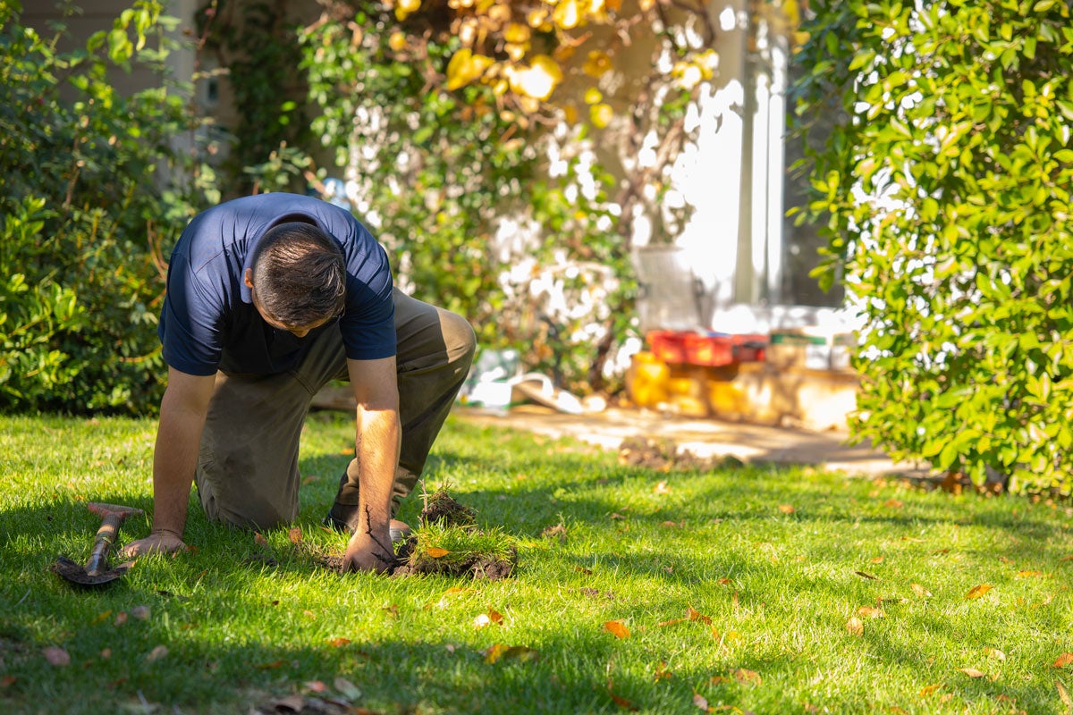 automatic sprinkler system spring start up