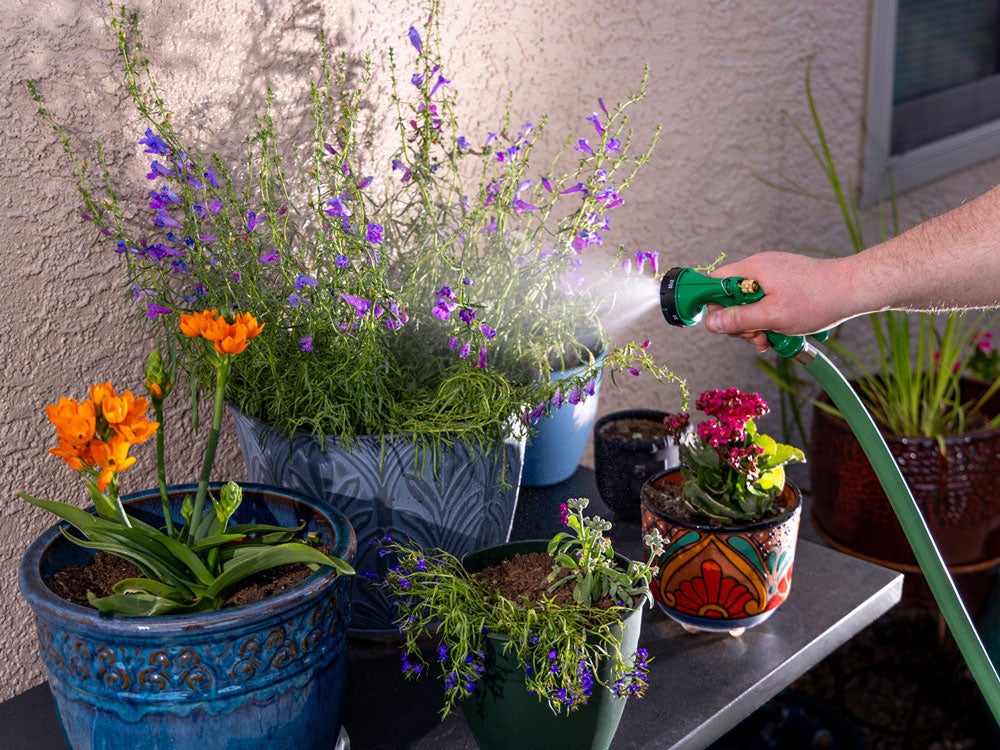 hand-held nozzle