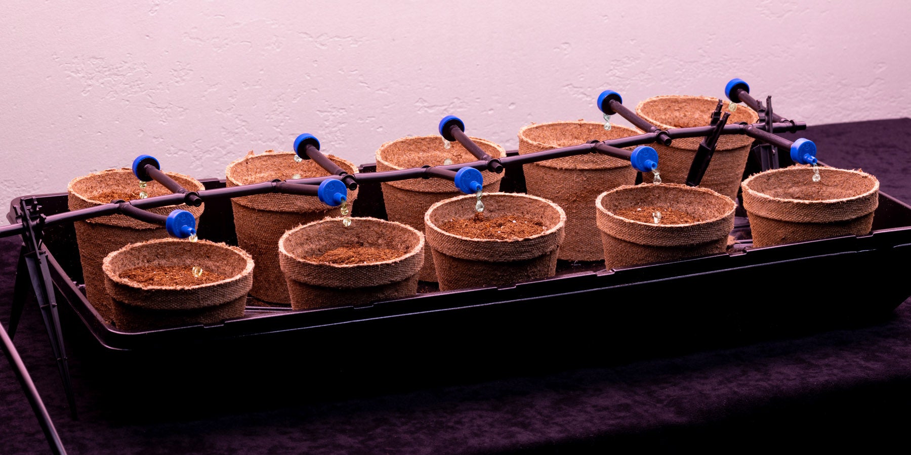 build this drip irrigation system indoors to water your starter seeds