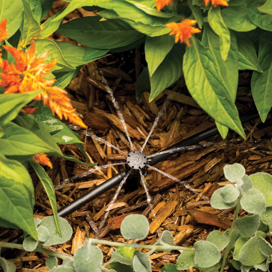 Rain Bird micro bubbler