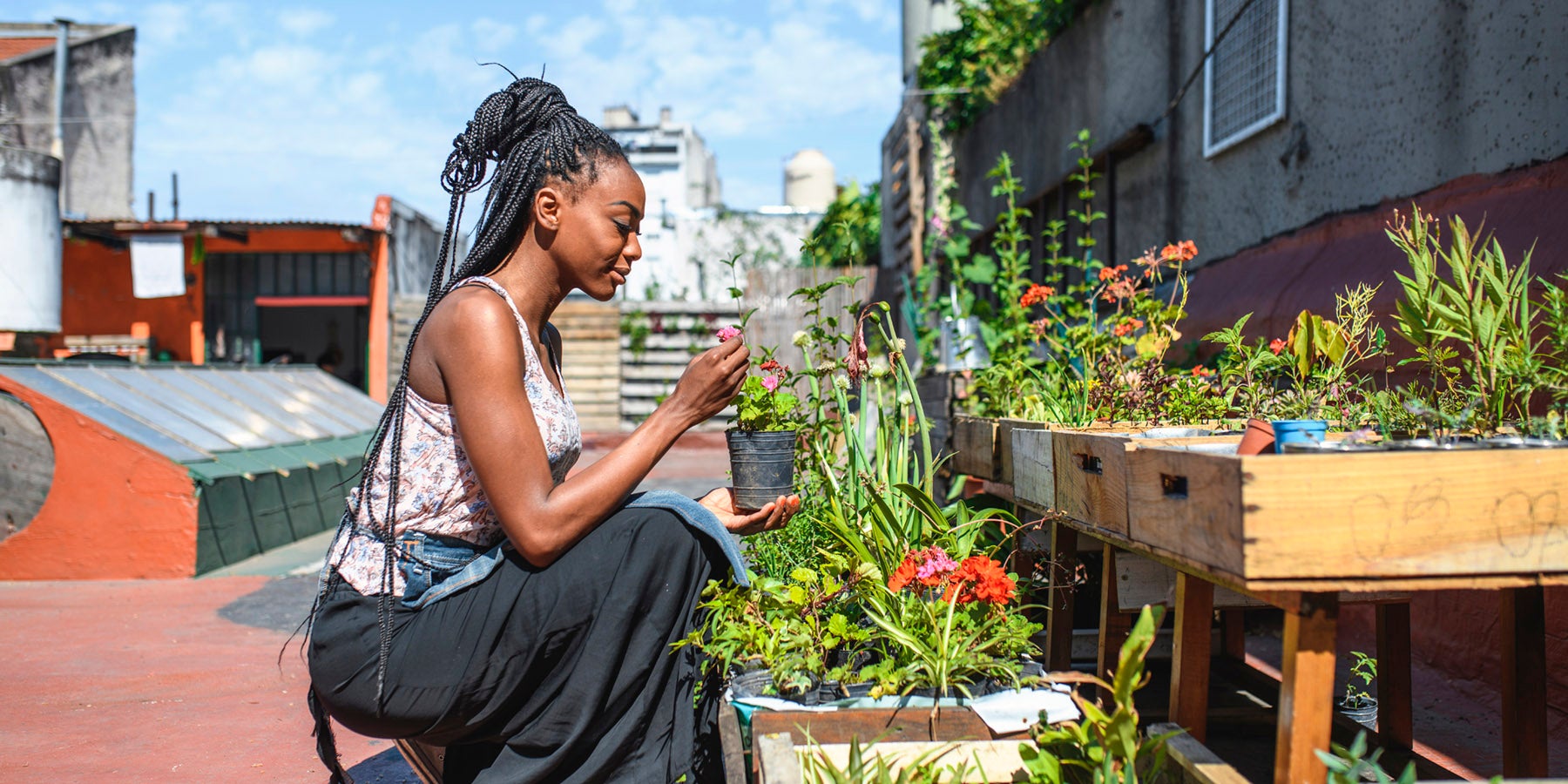 urban homesteader