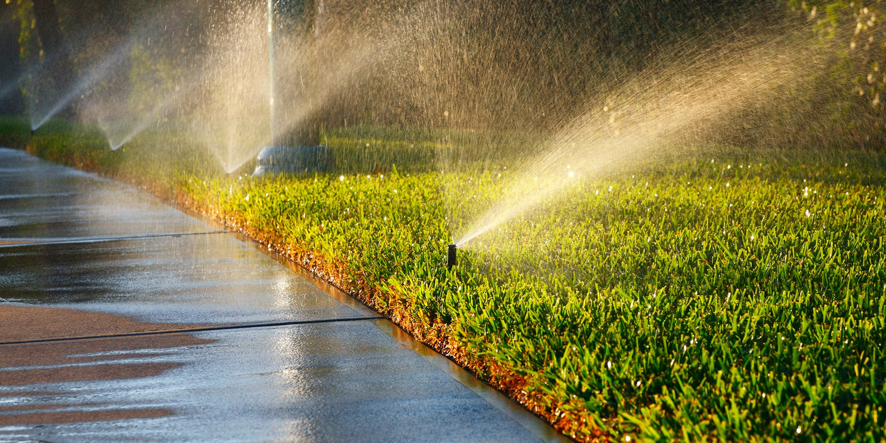 Quick Tip: What Kind of Sprinkler 