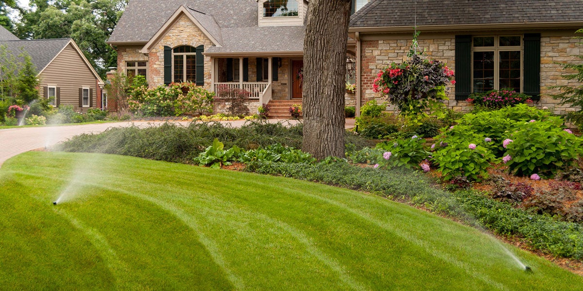 lawn with irrigation system