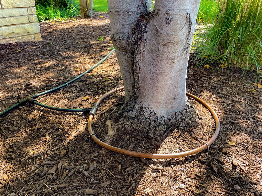 tree emitter tubing