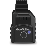 Rain Bird 1/2 Zoll Entlüftungsventil ARV050 für Unterflurbewässerung mit  XFS Tropfrohr 