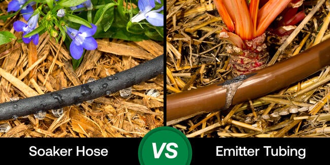 drip irrigation vs soaker hoses