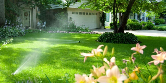 healthy lawn irrigation