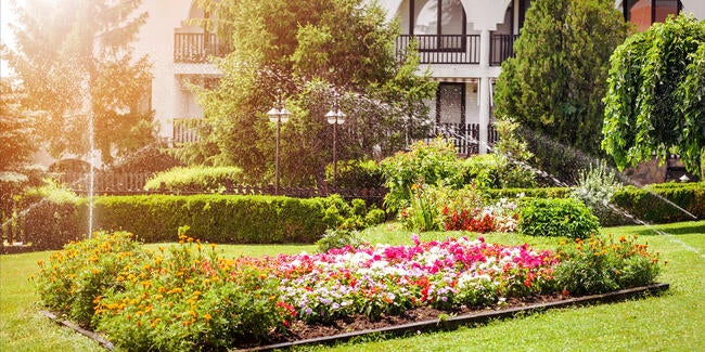 Theme garden with irrigation