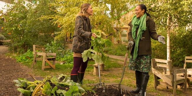 preparing a garden for winter