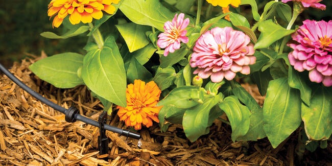 drip irrigation in a flower bed