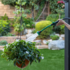 watering hanging basket