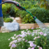 watering flower bed