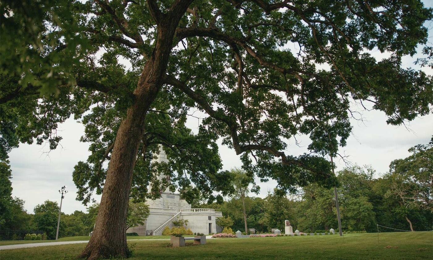 Framing Oak 1