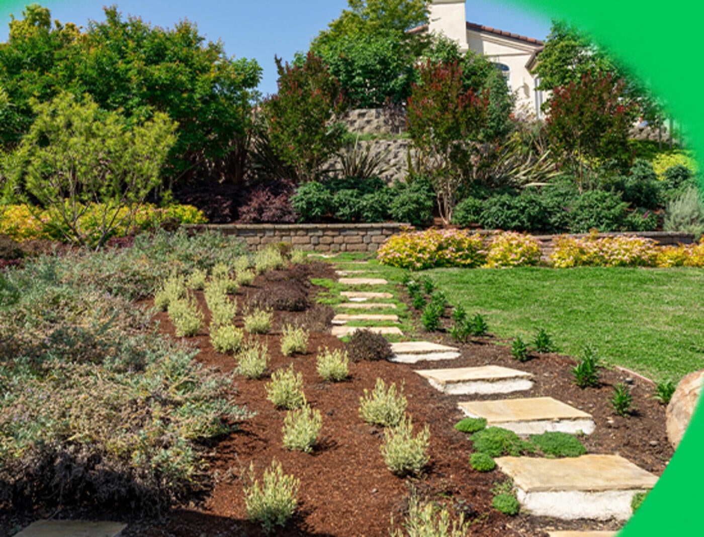 A neatly landscaped outdoor area with healthy grass, trimmed and mulched shrubbery, and square paving stones leading to a brick retaining wall and additional shrubbery in the background.